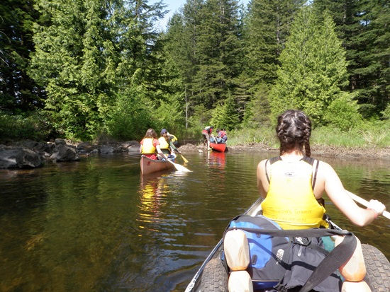 Canoe Tour Sayward Lakes follow the leader