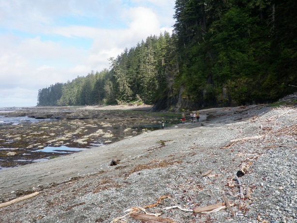 Beach and Shelf after Klanawa Vancouver Island Hiking